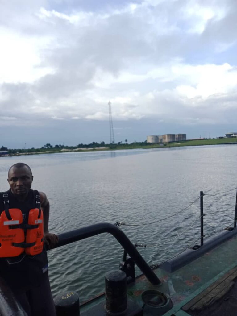 STAVIAN Project Image 2